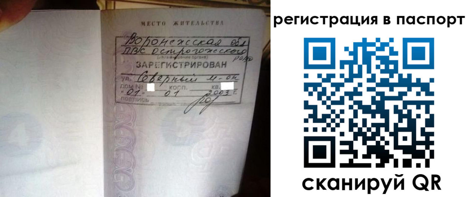 прописка для школы в Липецкая области